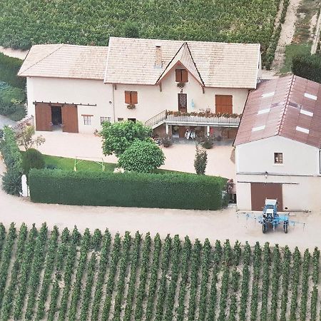 Chambres D Hotes Au Domaine De Robert Fleurie Kültér fotó