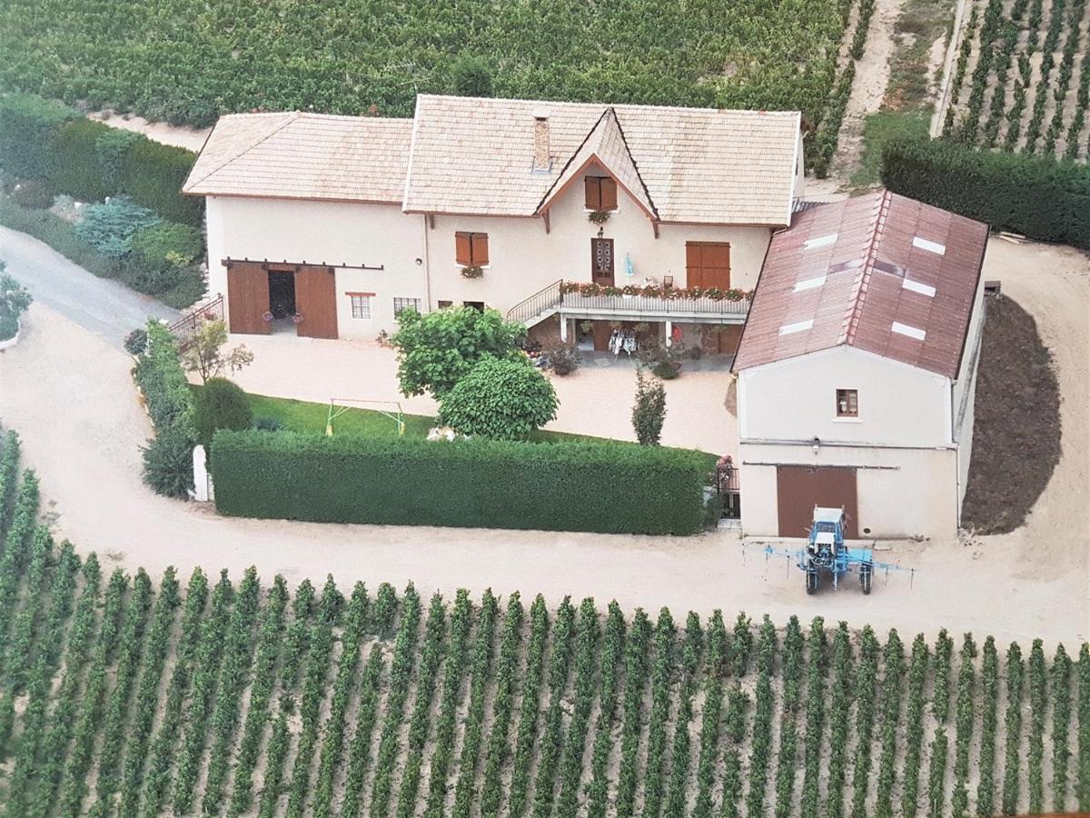 Chambres D Hotes Au Domaine De Robert Fleurie Kültér fotó